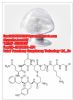 Lysipressin Acetate 